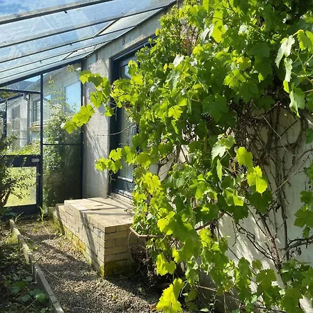 Light-filled Retreat In Holiday home *